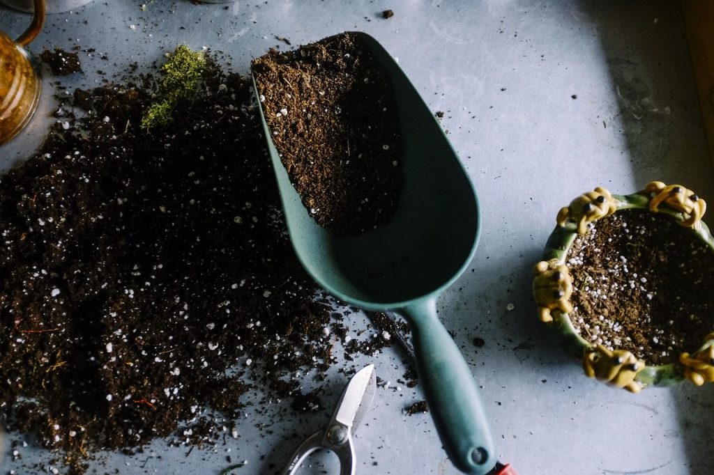 Healthy Posture for Gardening Season
